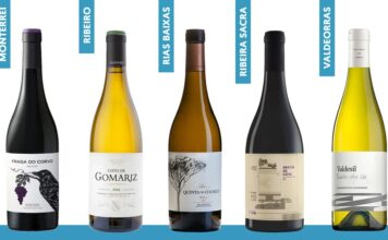 Galicia: vinos con Denominación de Origen
