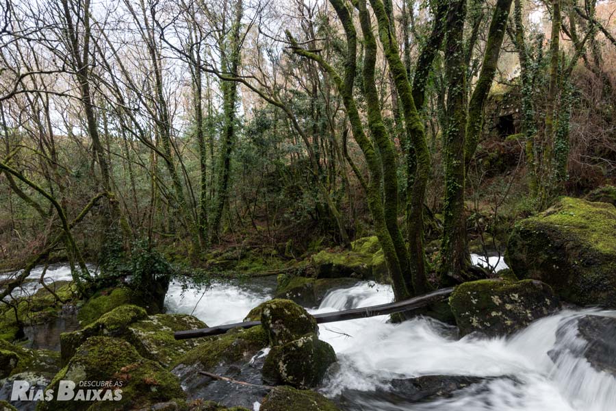 Río de A Patela