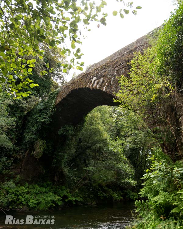 Puente medieval de Pedre