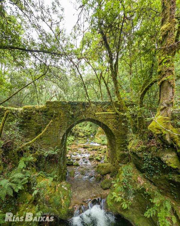 Puente